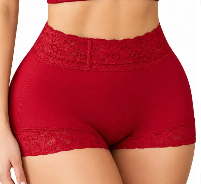 Women Lace Classic Daily Wear Body Shaper Butt Lifter Panty Smoothing Brief